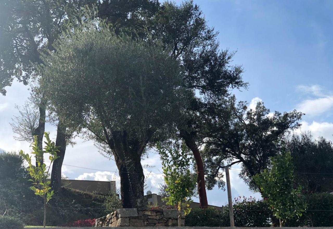Bosque Da Harmonia ξενώνας Arco de Baulhe Εξωτερικό φωτογραφία